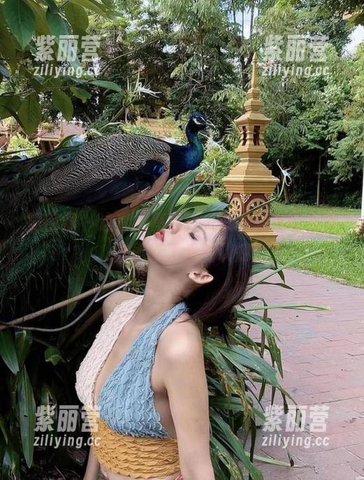 就是阿朱啊 微密圈 - 这套油亮写真,就是阿朱啊又再次刷新了我的认知