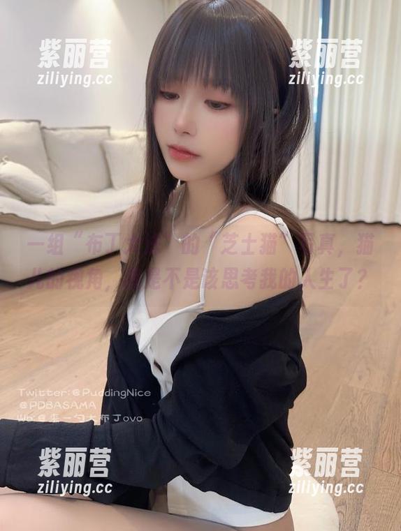 布丁大法 一组“布丁大法”的“芝士猫”写真,猫儿的视角,我是不是该思考我的人生了?